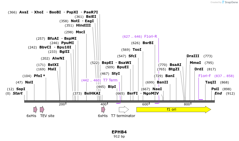 31306_map