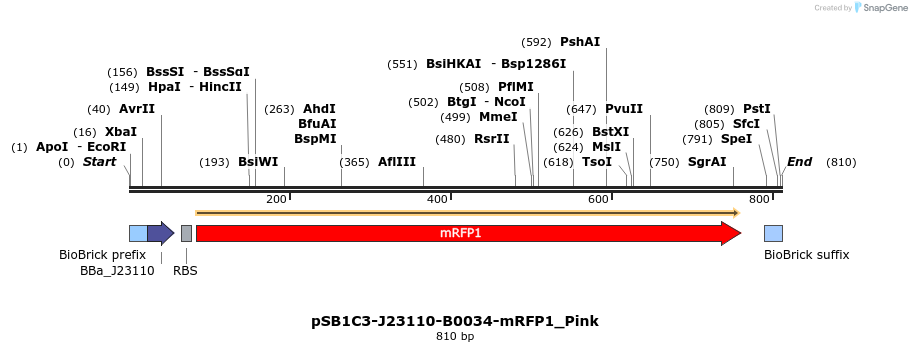 313062_map