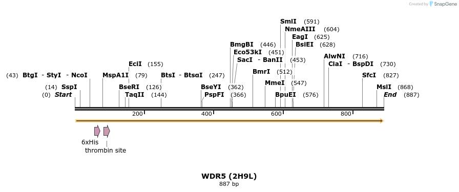 31307_map
