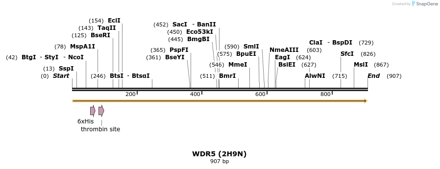 31309_map