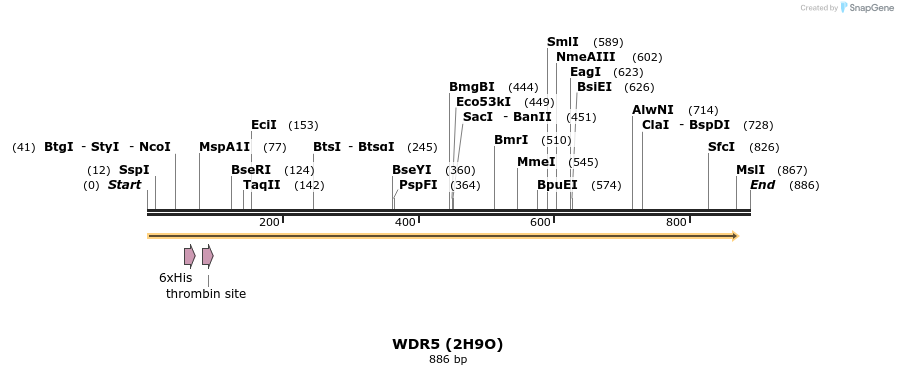 31310_map