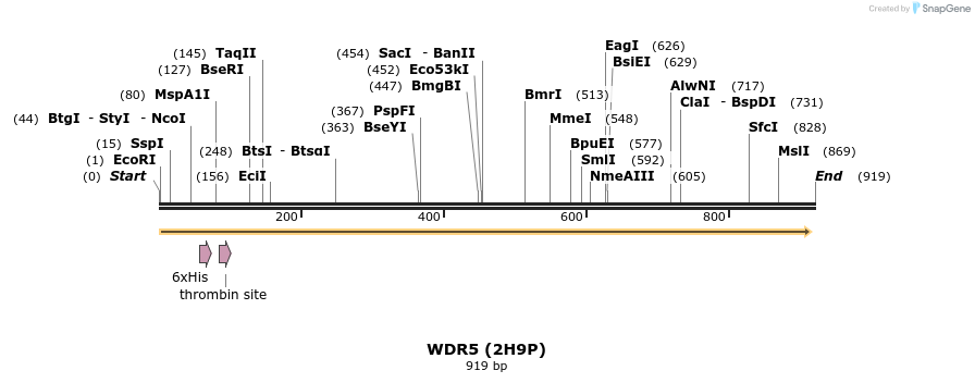 31311_map