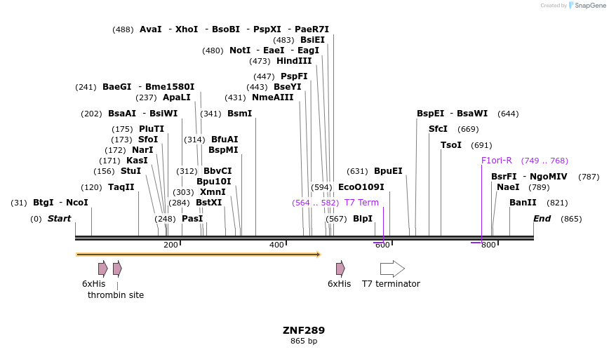 31312_map