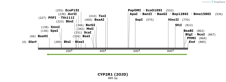 31315_map