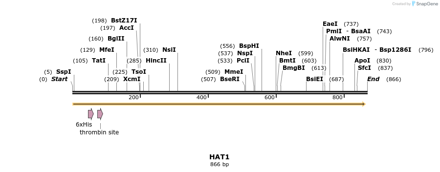 31319_map