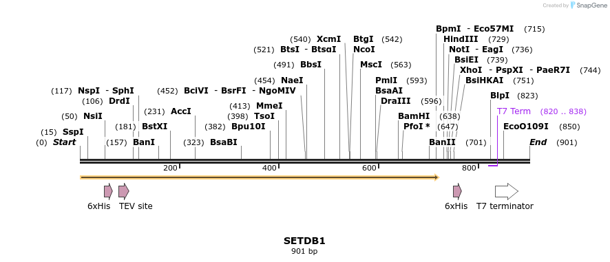 31320_map