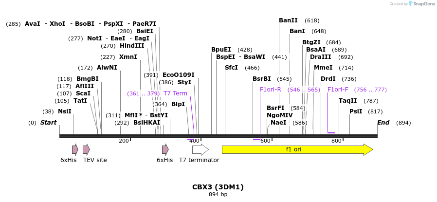 31322_map