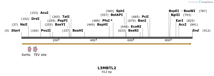 31324_map