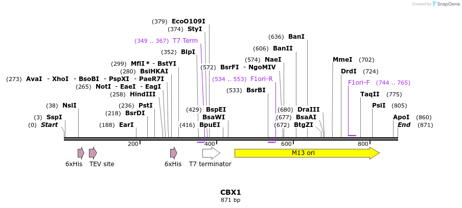 31325_map