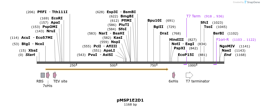 313254_map