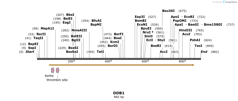 31326_map