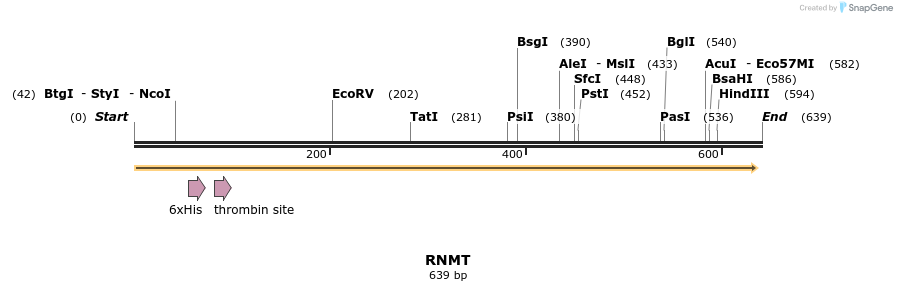 31328_map