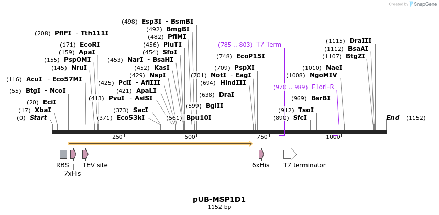 313288_map