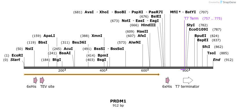 31329_map