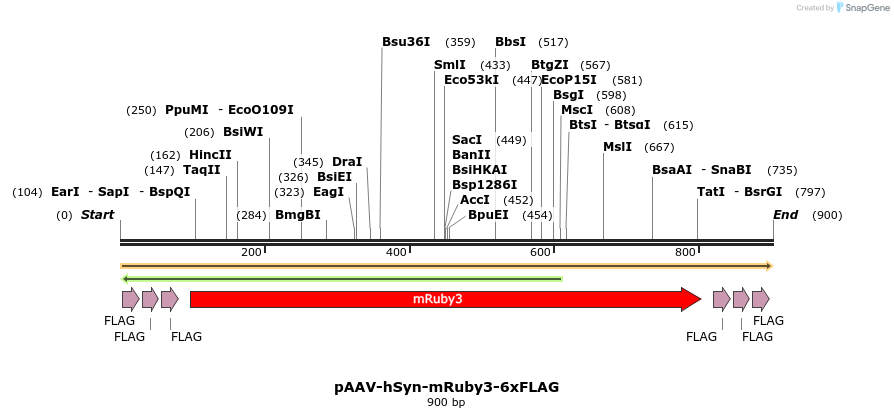 313300_map