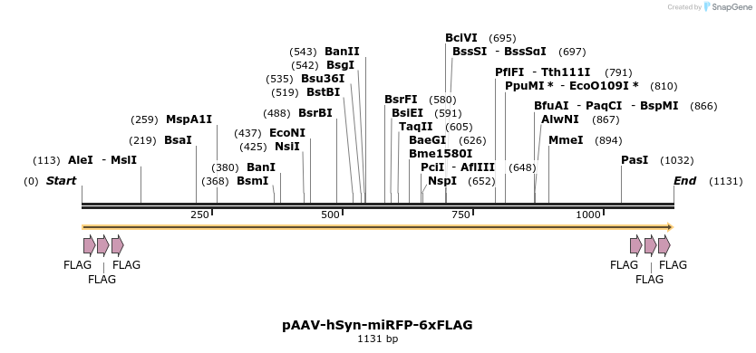 313303_map