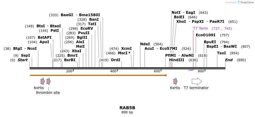 31331_map