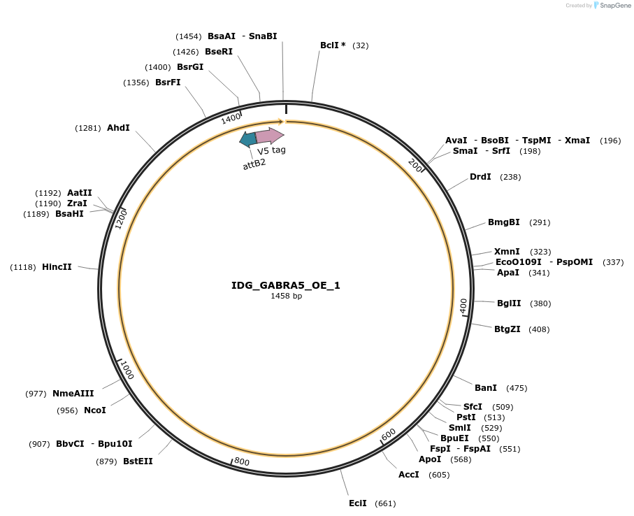 313316_map