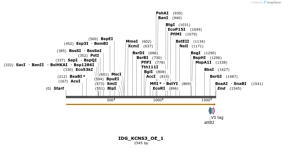 313317_map