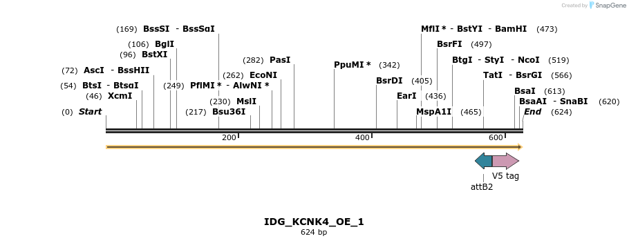 313318_map