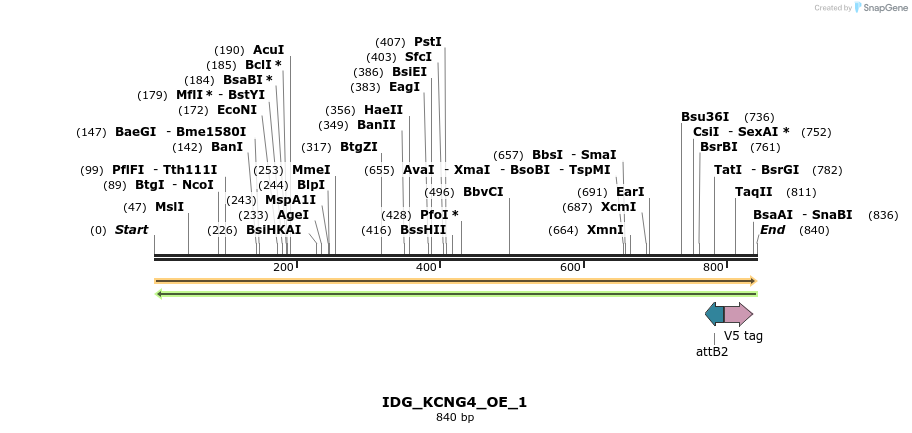 313319_map