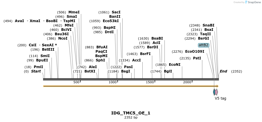 313320_map
