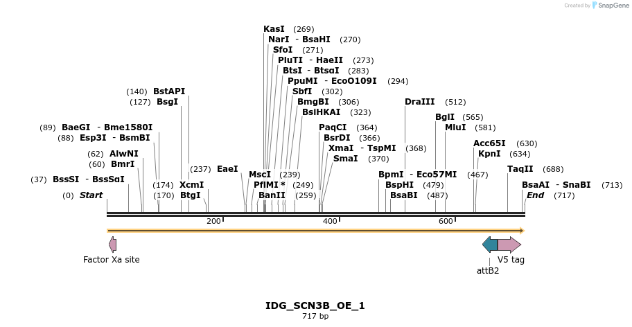 313324_map