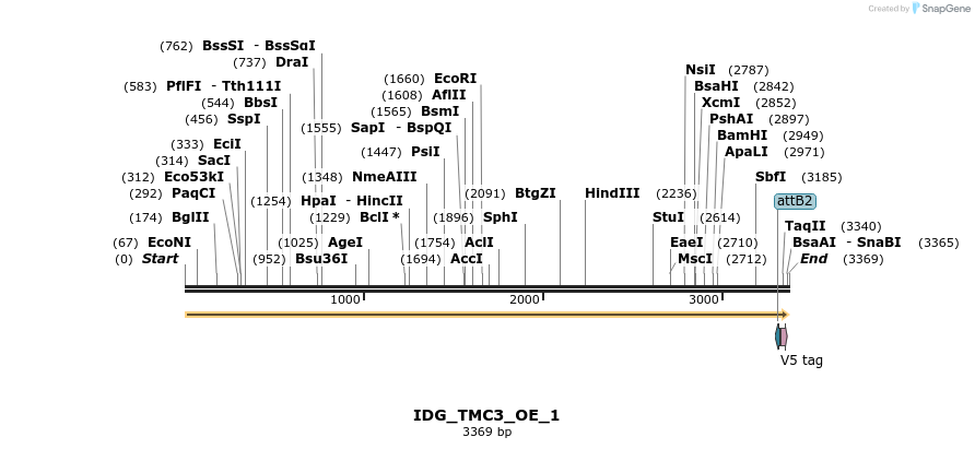 313328_map