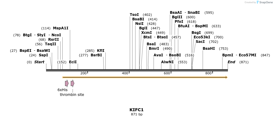 31333_map