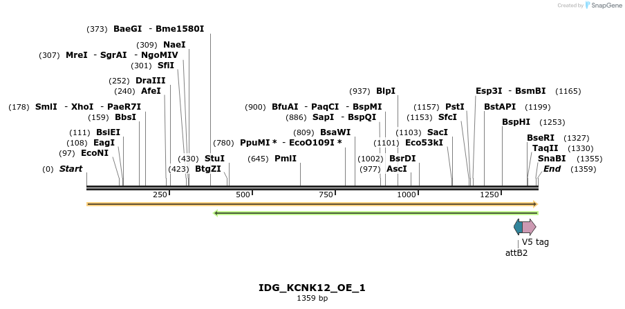 313331_map