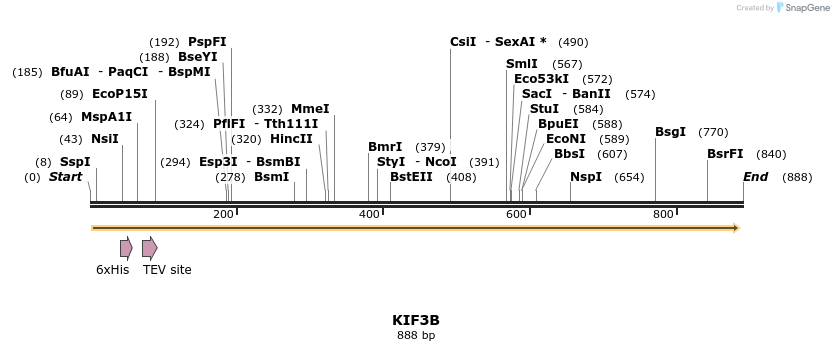 31334_map