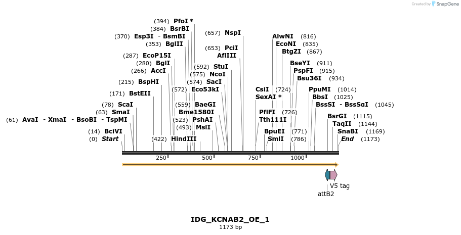 313346_map