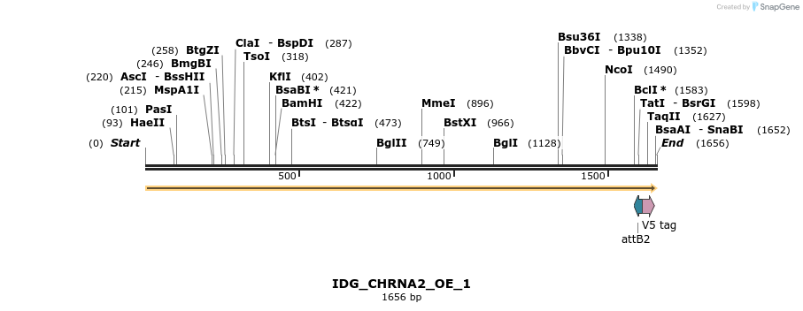 313347_map