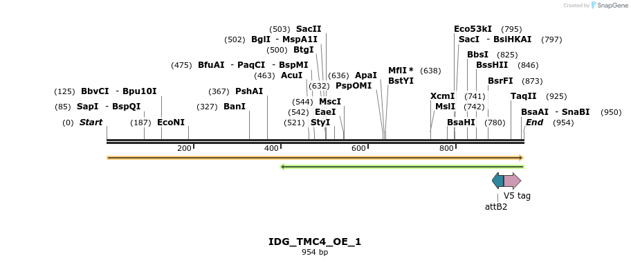 313351_map