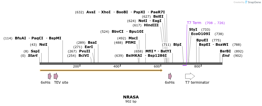 31336_map