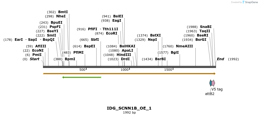 313361_map