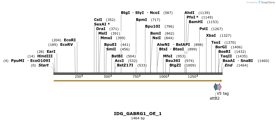 313372_map