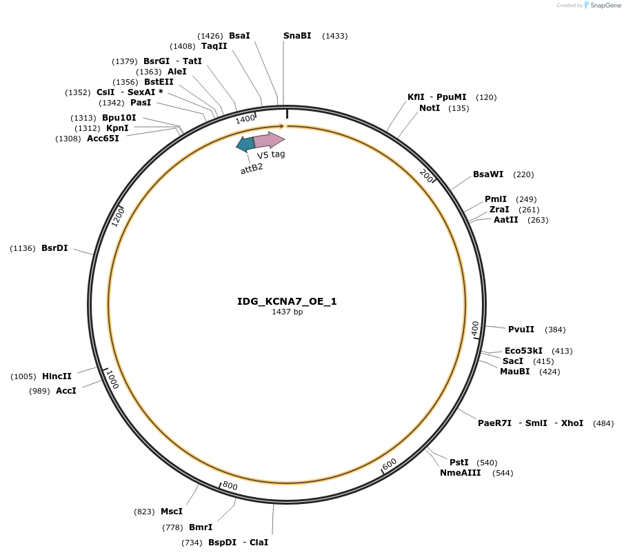 313379_map