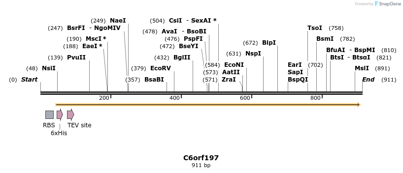 31338_map