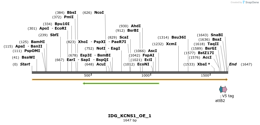 313380_map