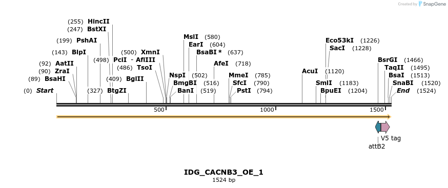 313384_map
