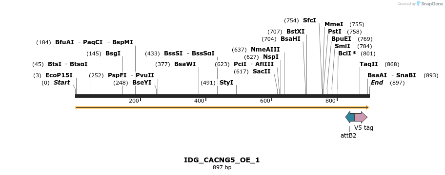 313386_map
