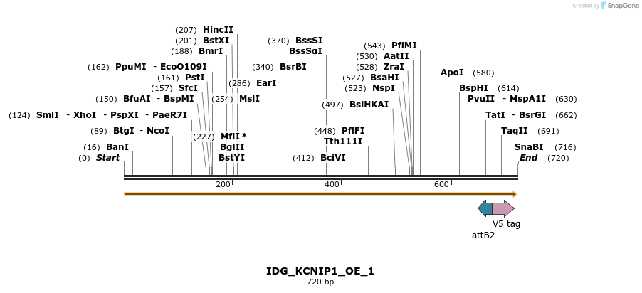 313389_map