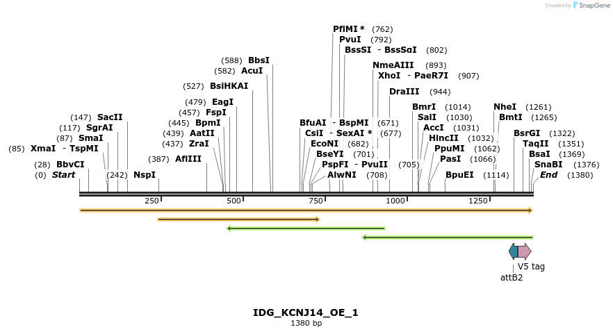 313390_map