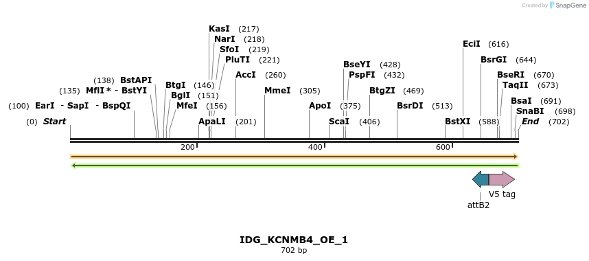 313391_map