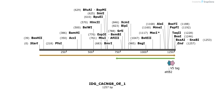 313397_map