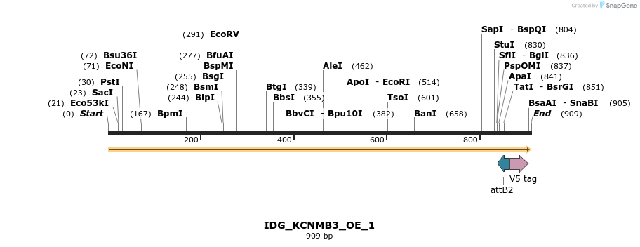 313402_map