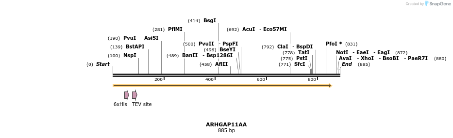 31341_map