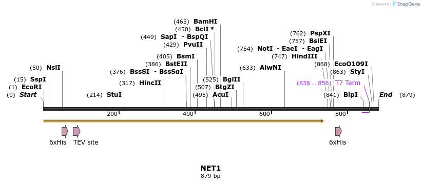 31343_map