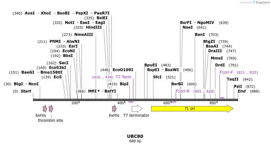 31347_map